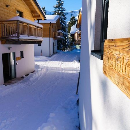 Luxalps- Turrach Alm Chalets Nr 1-4 Gruensee- Sauna- Skifahren- Wandern- Natur Turracher Hohe Dış mekan fotoğraf