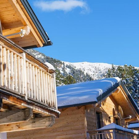 Luxalps- Turrach Alm Chalets Nr 1-4 Gruensee- Sauna- Skifahren- Wandern- Natur Turracher Hohe Dış mekan fotoğraf