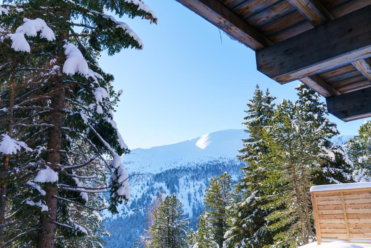 Luxalps- Turrach Alm Chalets Nr 1-4 Gruensee- Sauna- Skifahren- Wandern- Natur Turracher Hohe Dış mekan fotoğraf