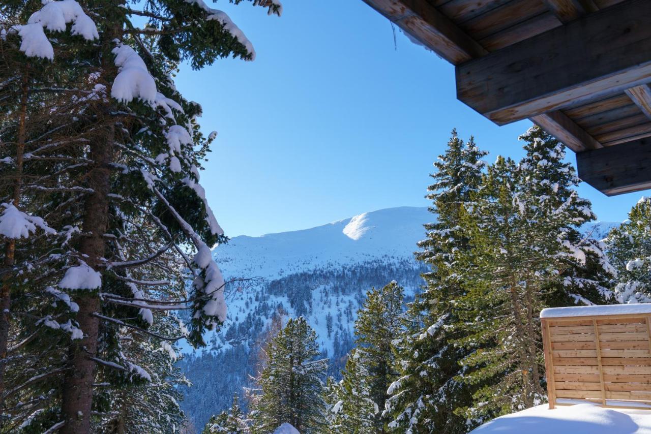Luxalps- Turrach Alm Chalets Nr 1-4 Gruensee- Sauna- Skifahren- Wandern- Natur Turracher Hohe Dış mekan fotoğraf